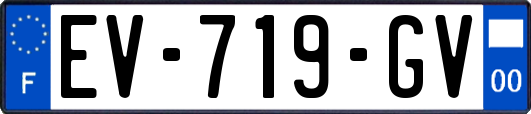 EV-719-GV