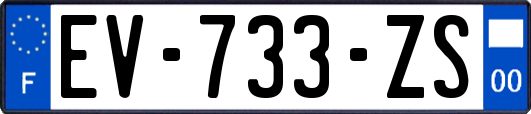 EV-733-ZS