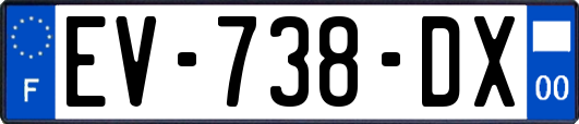 EV-738-DX