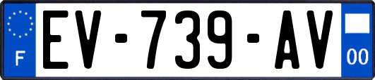 EV-739-AV