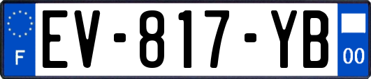 EV-817-YB