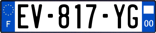 EV-817-YG