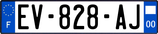 EV-828-AJ