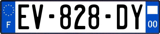 EV-828-DY