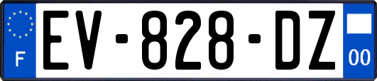 EV-828-DZ