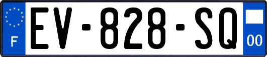 EV-828-SQ
