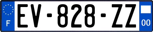 EV-828-ZZ