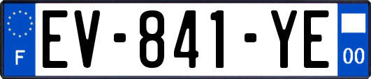EV-841-YE