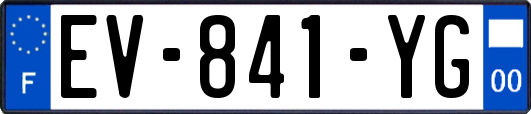 EV-841-YG