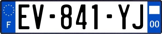 EV-841-YJ