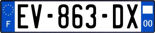 EV-863-DX