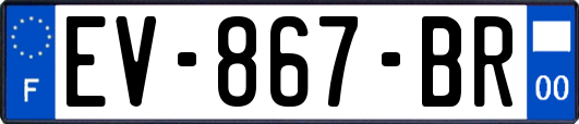 EV-867-BR