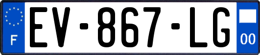 EV-867-LG