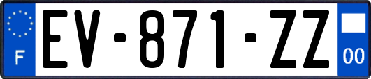 EV-871-ZZ