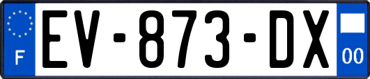 EV-873-DX