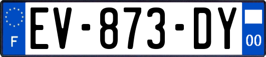 EV-873-DY