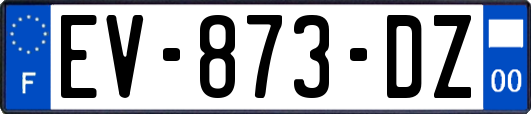 EV-873-DZ