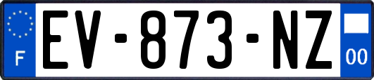 EV-873-NZ