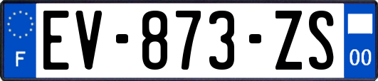 EV-873-ZS