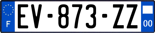 EV-873-ZZ