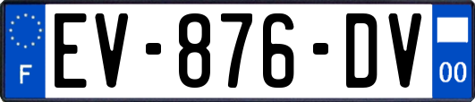 EV-876-DV