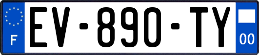 EV-890-TY