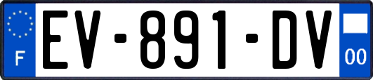 EV-891-DV