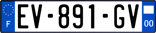 EV-891-GV
