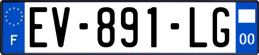 EV-891-LG