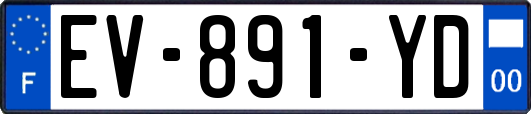 EV-891-YD
