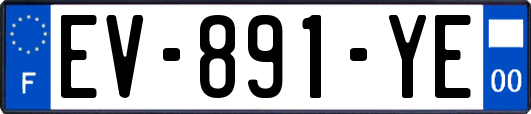 EV-891-YE