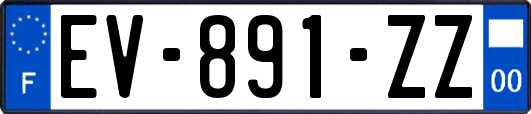 EV-891-ZZ