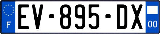 EV-895-DX