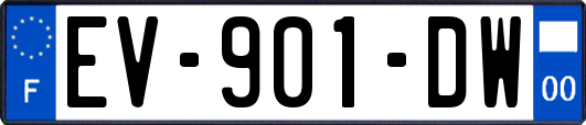 EV-901-DW