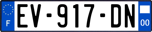 EV-917-DN