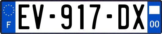 EV-917-DX