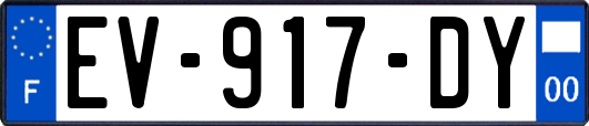 EV-917-DY