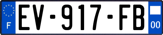 EV-917-FB