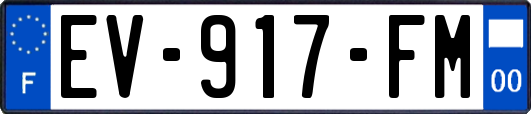 EV-917-FM