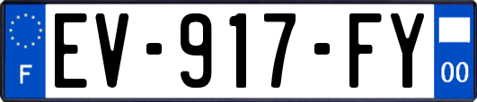 EV-917-FY