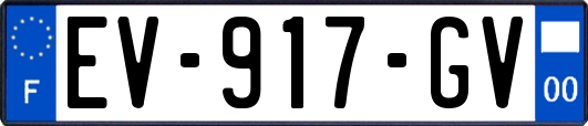 EV-917-GV
