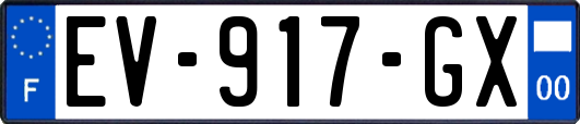 EV-917-GX
