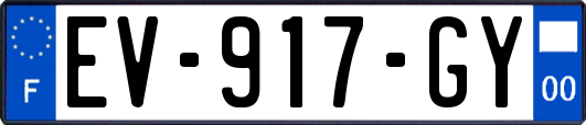 EV-917-GY