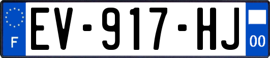EV-917-HJ