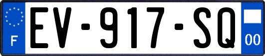 EV-917-SQ