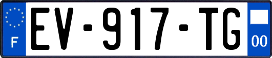 EV-917-TG