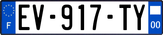 EV-917-TY