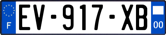 EV-917-XB
