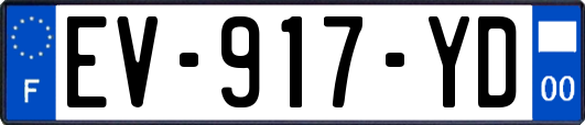 EV-917-YD