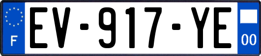 EV-917-YE